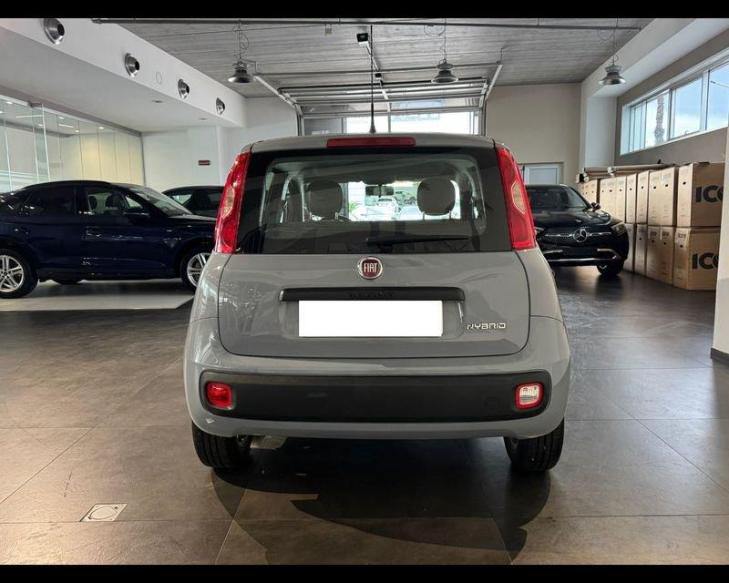 FIAT Panda 3ª serie 1.0 FireFly S&S Hybrid