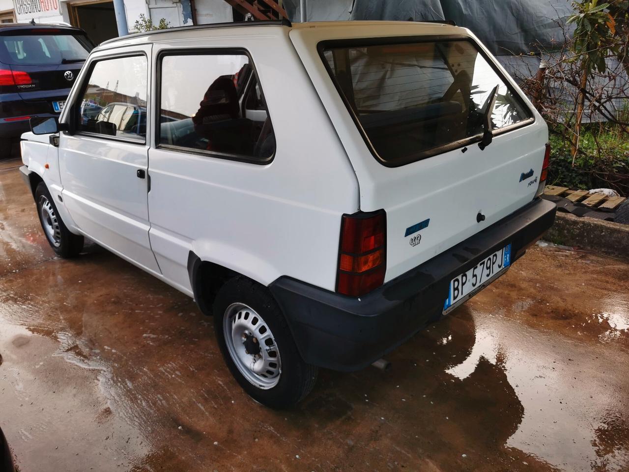 Fiat Panda 1100 i.e. cat Young