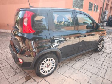Fiat Panda 1.0 FireFly S&S Hybrid INCIDENTATA