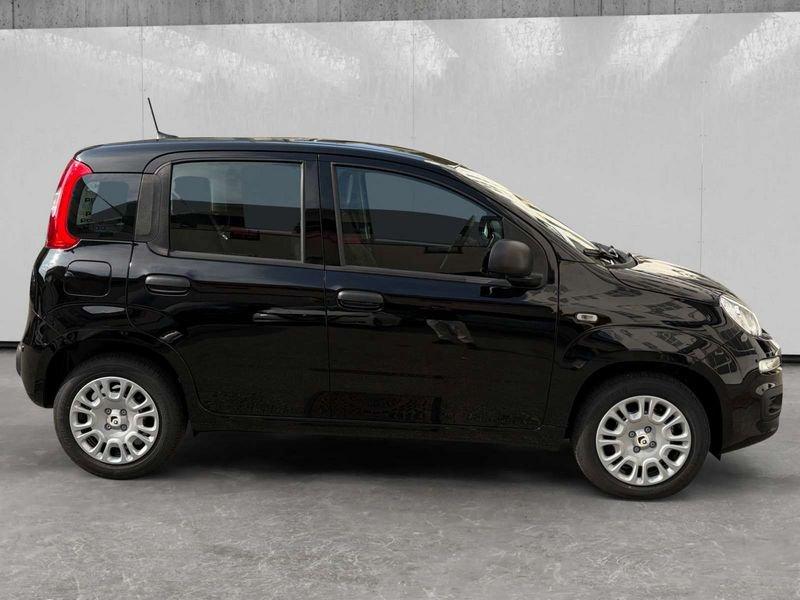 FIAT Pandina 1.0 firefly hybrid Icon s&s 70cv
