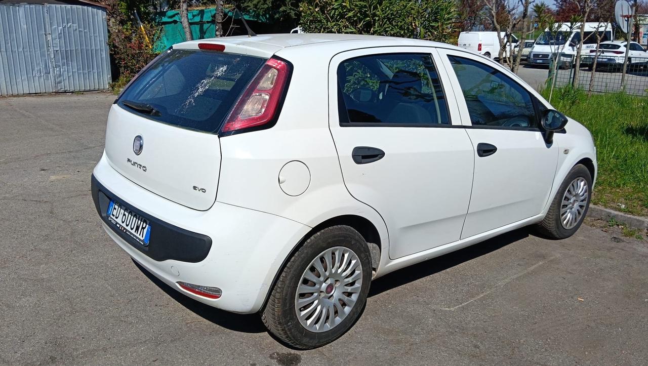 Fiat Punto Evo 1.3 Mjt 75 CV 5 porte Active