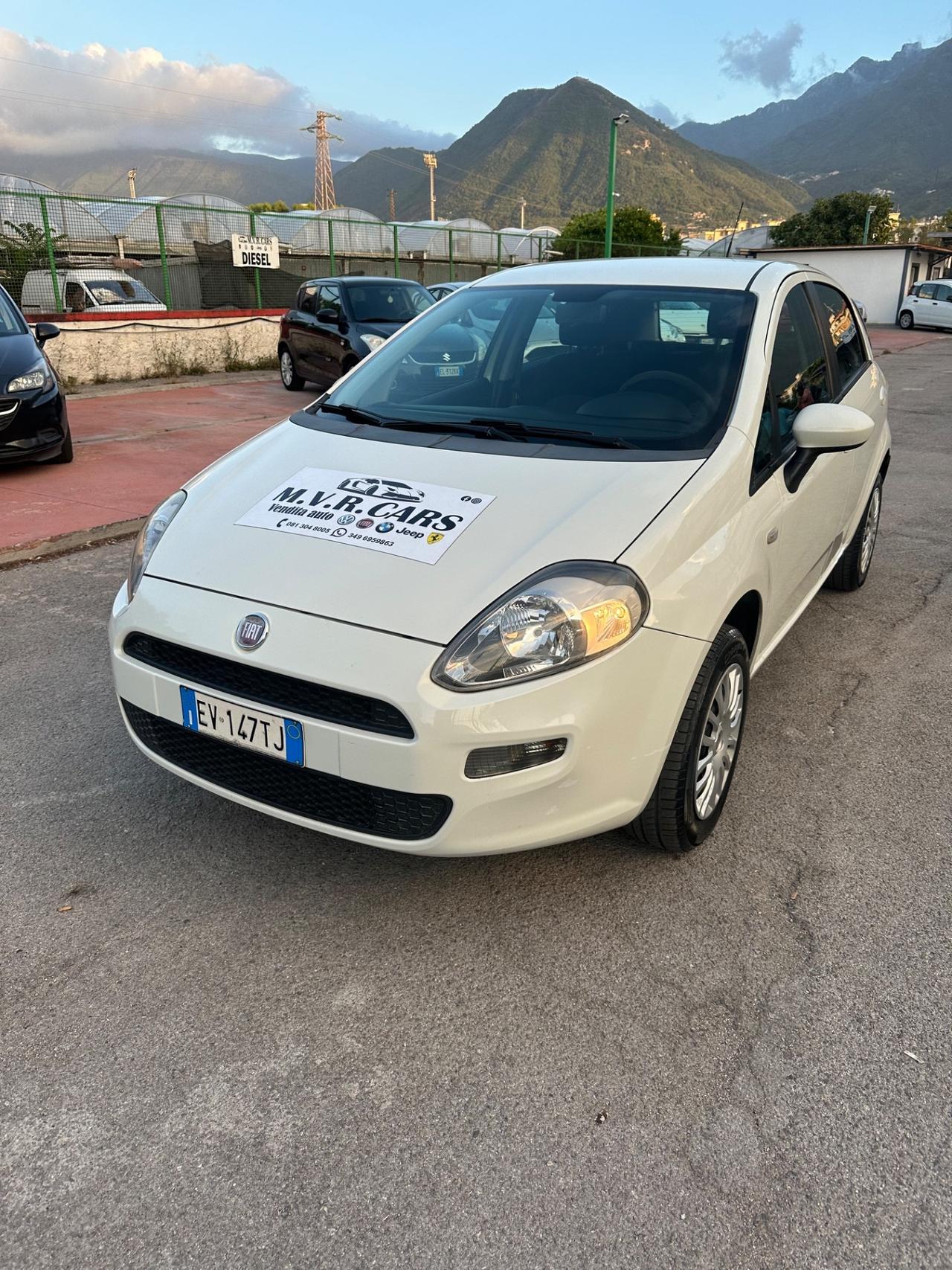 Fiat Punto 1.4 8V 5 porte Natural Power Lounge
