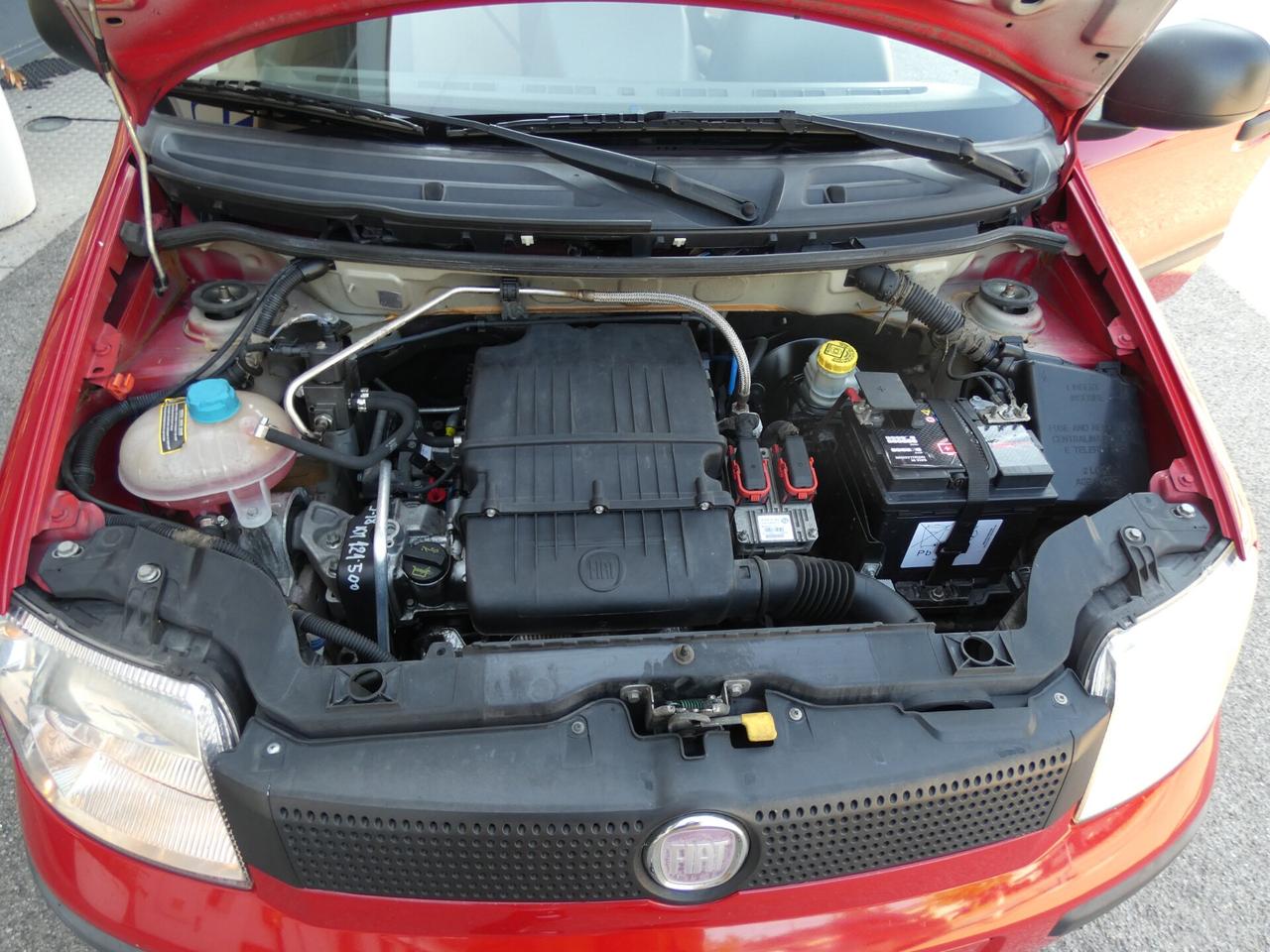 FIAT Panda 2ª serie Panda 1.4 Dynamic Natural ...