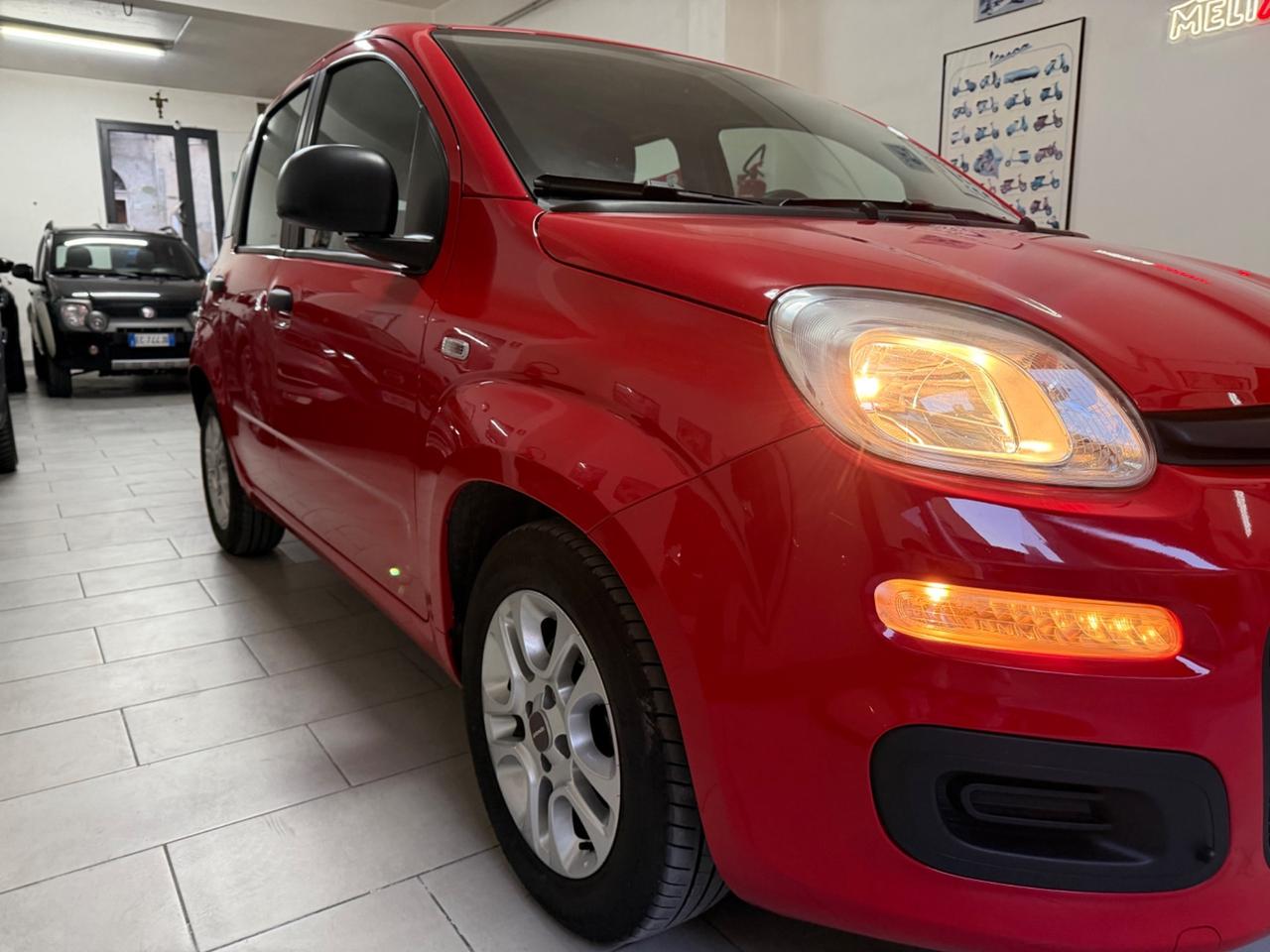 Fiat Panda 1.0 FireFly S&S Hybrid/Benzina