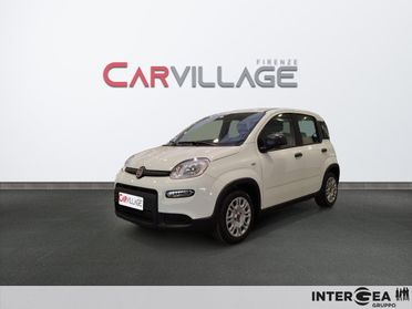 FIAT Panda III 2021 Panda 1.0 firefly hybrid s&s 70cv 5p.ti