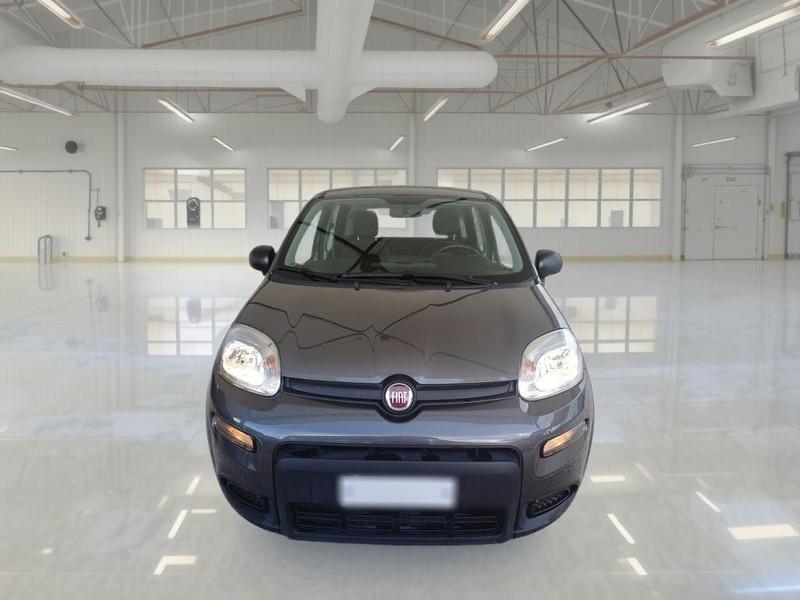 FIAT PANDA 1.0 FIREFLY 70 CV SES HYBRID 5 PORTE BERLINA