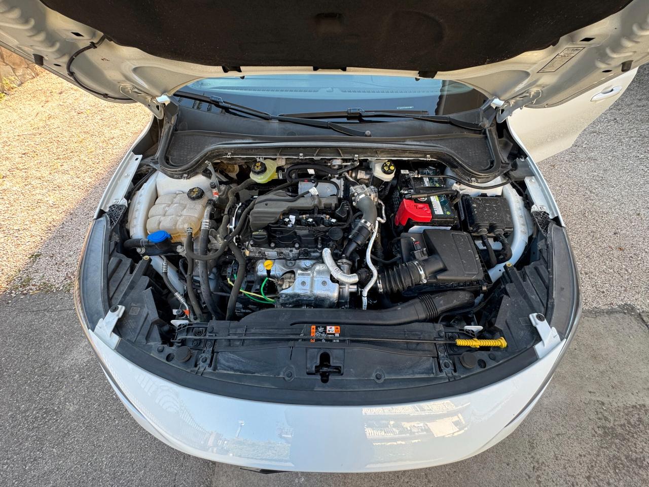 Ford Focus 1.5 120cv sw 2023