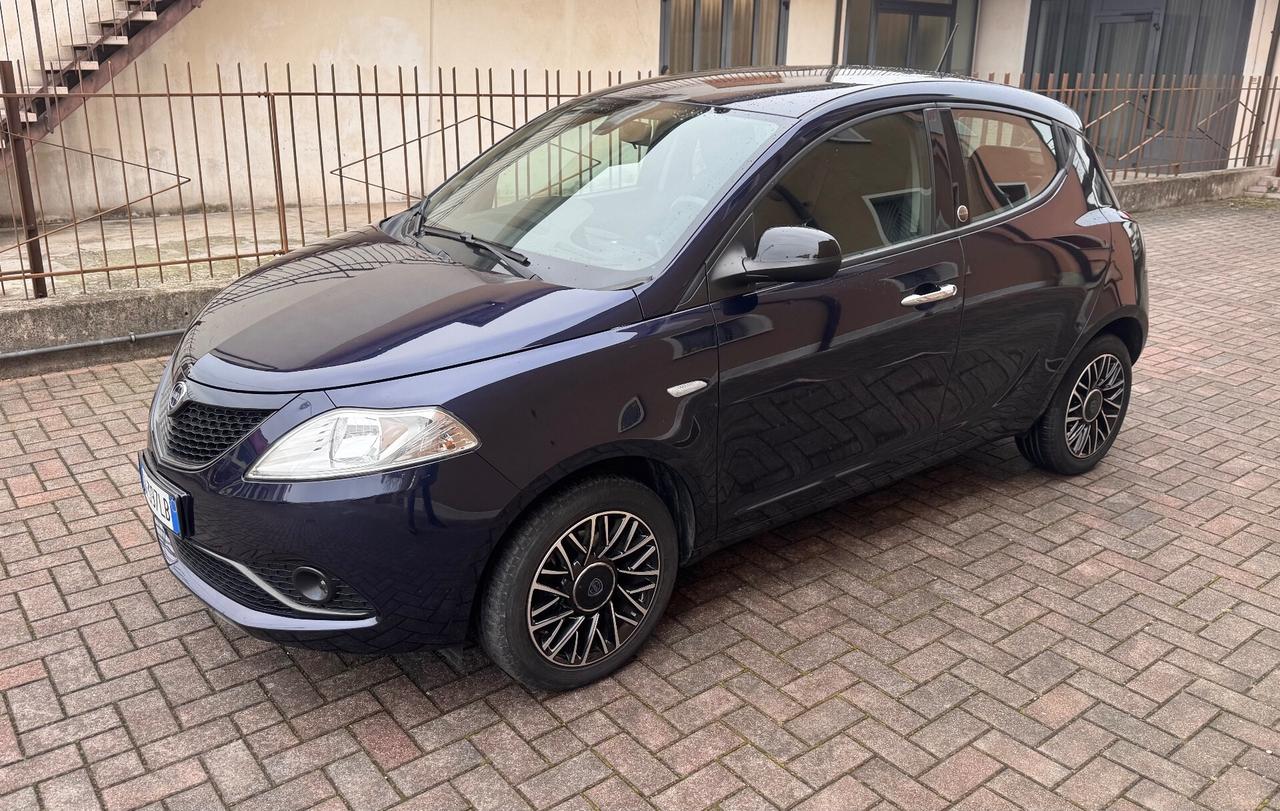 Lancia Ypsilon 1.2 69 CV 5 porte GPL Ok Neopatentati
