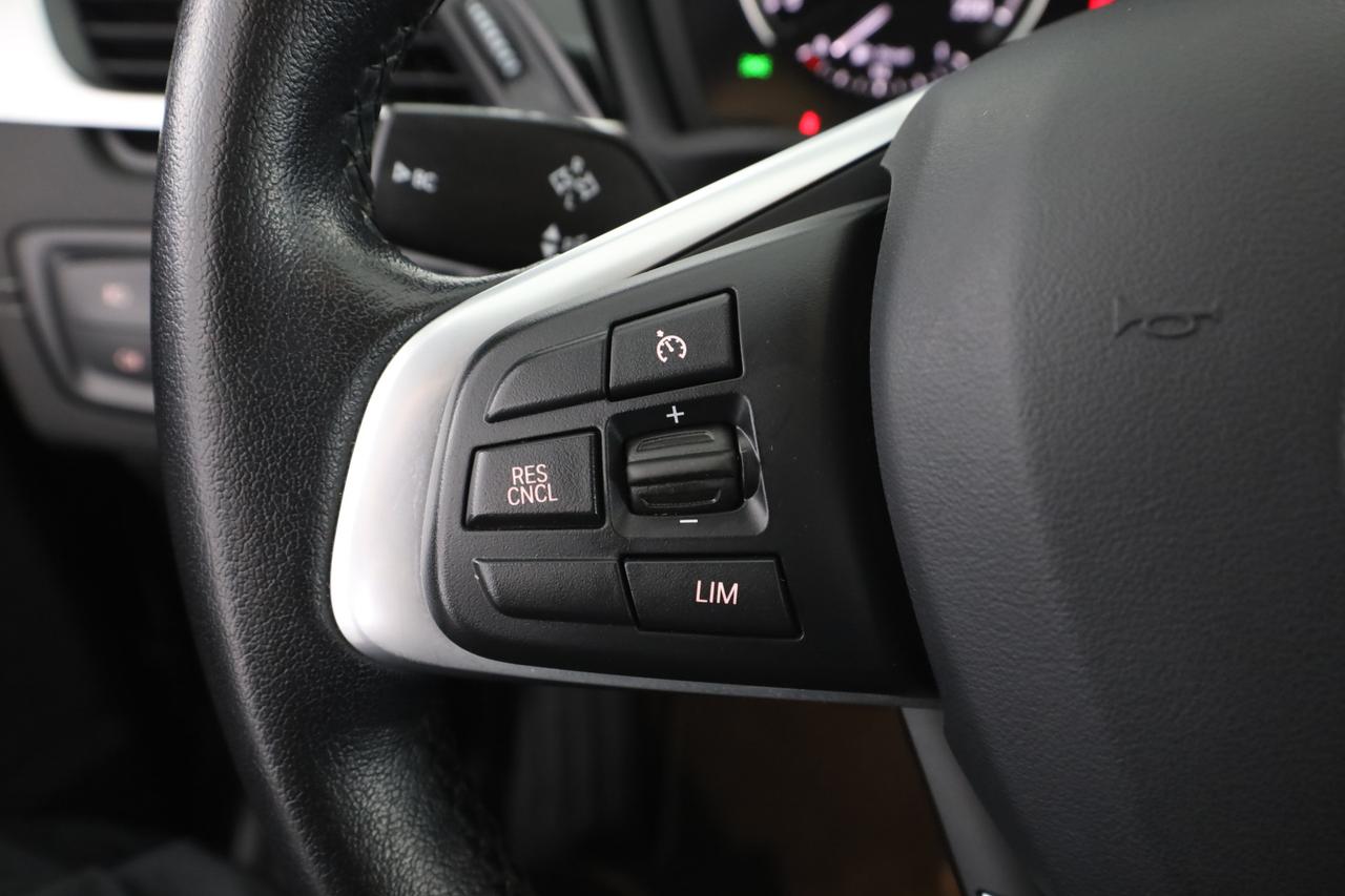 BMW X1 (F48) X1 xDrive18d xLine Plus