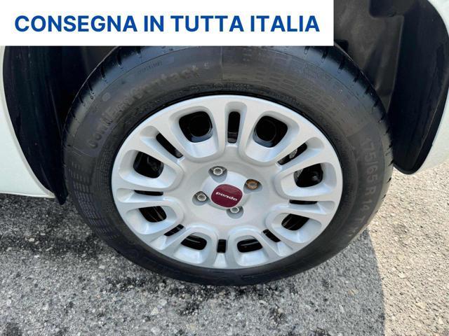 FIAT Panda FURGONE+IVA 1.2 EASY VAN N1 4 POSTI POCHI KM-E6D-