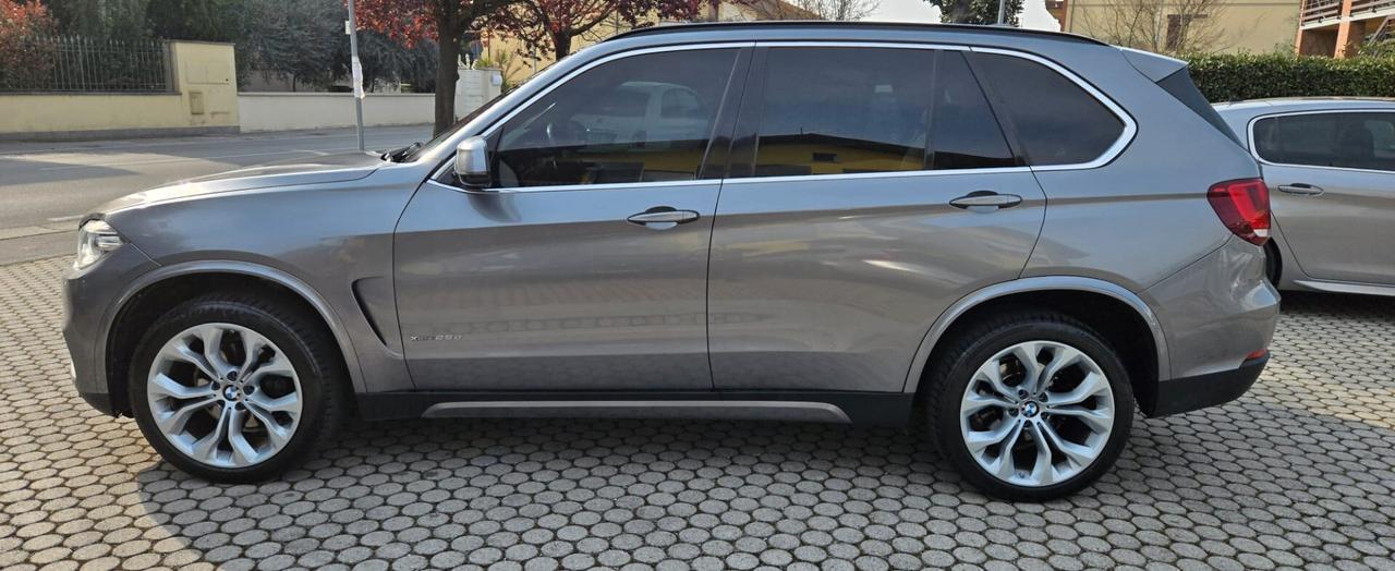 Bmw X5 xDrive25d Luxury