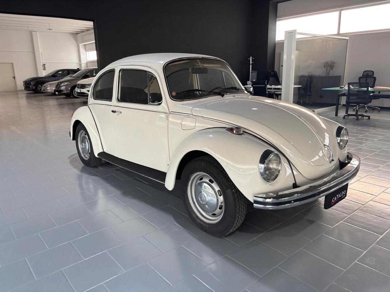 Volkswagen Maggiolino