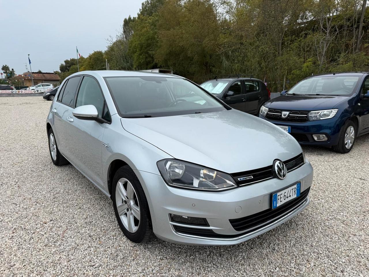 Volkswagen Golf 1.4 TGI DSG 5p. Executive BlueMotion