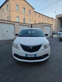 Lancia Ypsilon 1.2 69 CV 5 porte metano Ecochic Platinum
