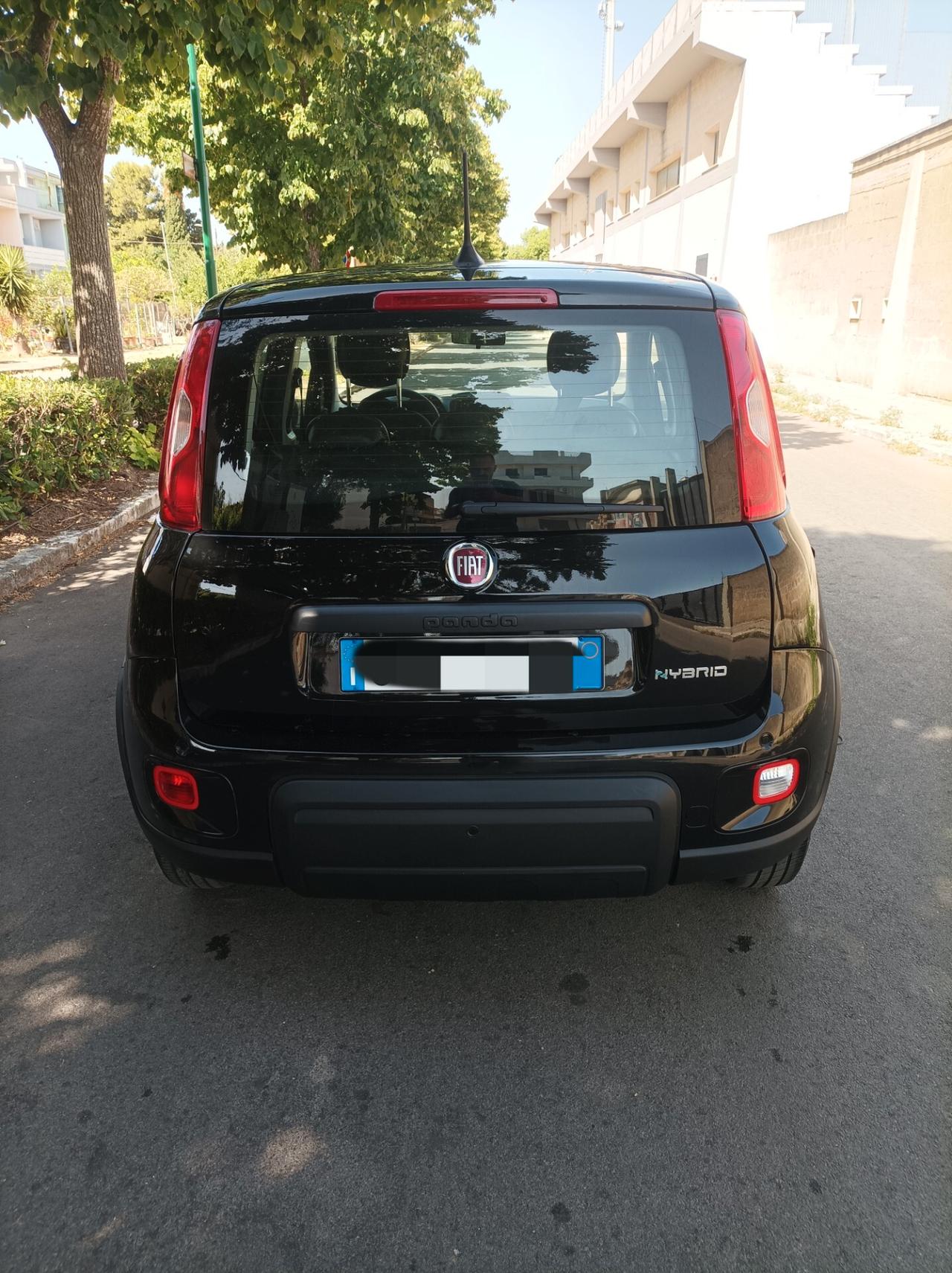 Fiat Panda 1.0 FireFly S&S Hybrid - 2023