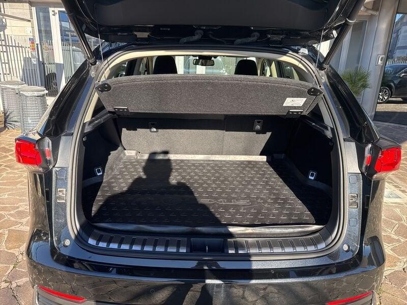 Lexus NX Hybrid Lexus nx 300 H Premium 4WD