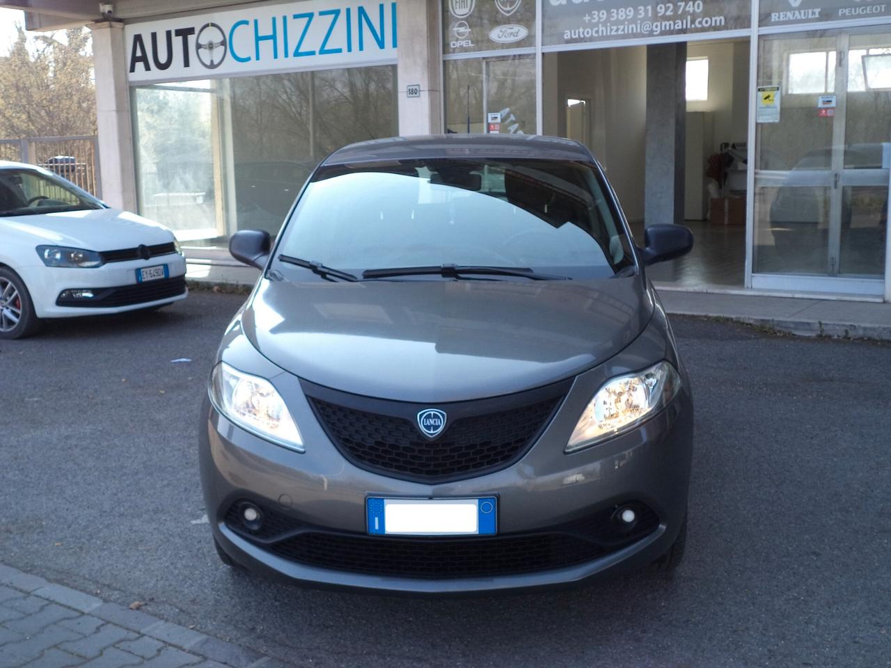 Lancia Ypsilon 1.2 69 CV 5 porte Elefantino Blu OK NEOPATENTATI