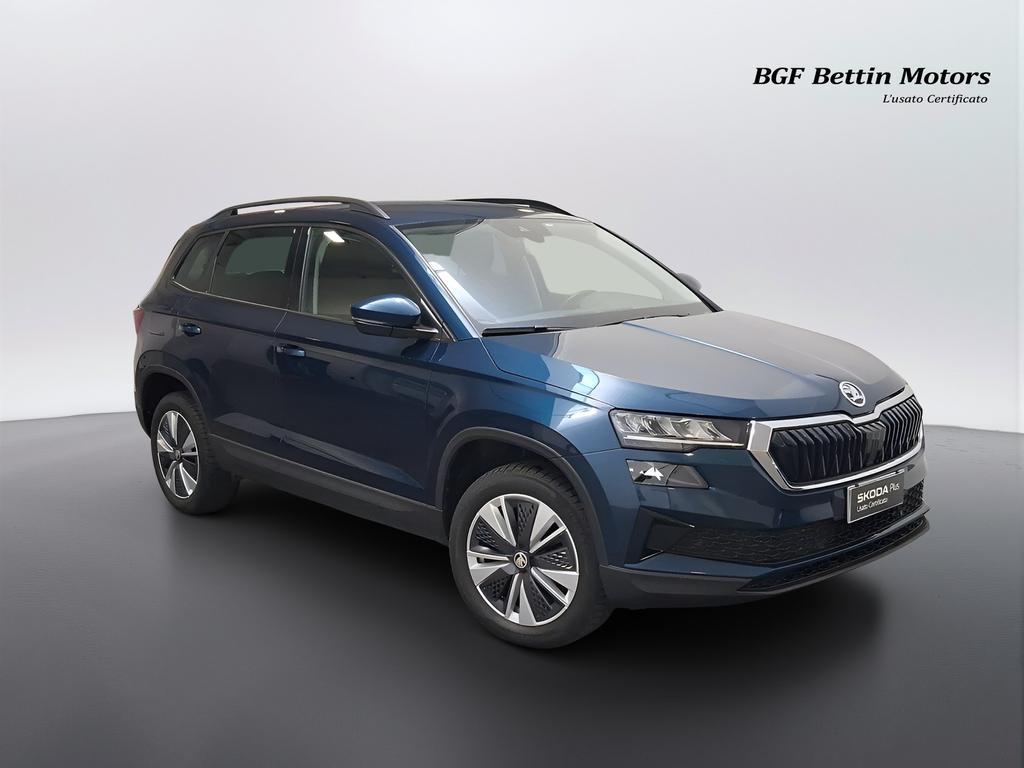 Skoda Karoq 2.0 tdi evo Executive 115cv dsg