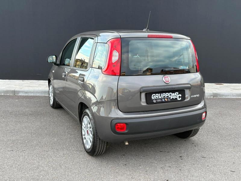 Fiat Panda 1.0 firefly hybrid s&s 70cv ADATTA A NEOPATENTATI