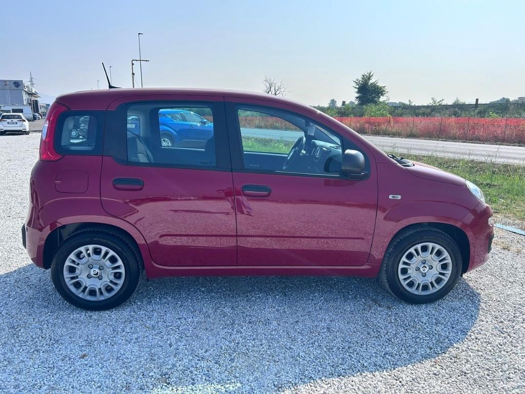 FIAT Panda My25 1.0 70cv Hybrid Panda