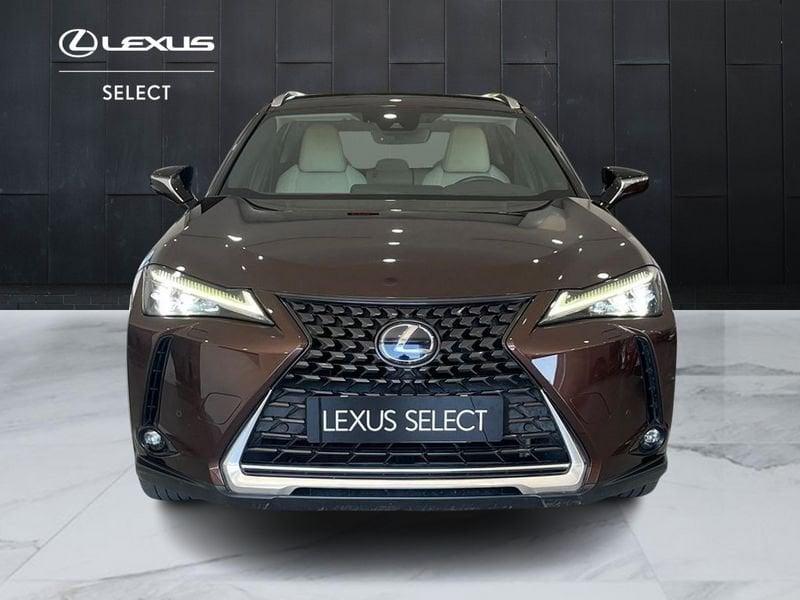 Lexus UX UX 250h 2.0 Luxury 2wd cvt