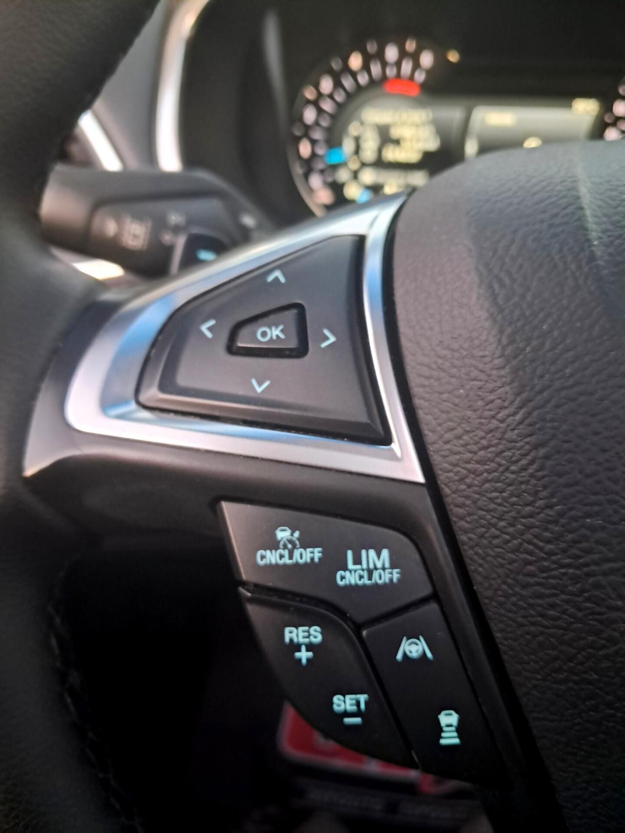 FORD EDGE 2.0 TDCI 4WD 238cv VIGNALE *TETTO-PELLE*