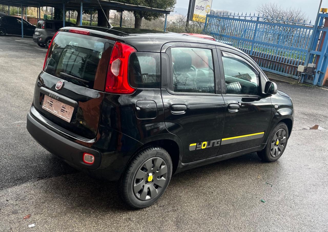 Fiat Panda 1.2 Young -solo km 21000-