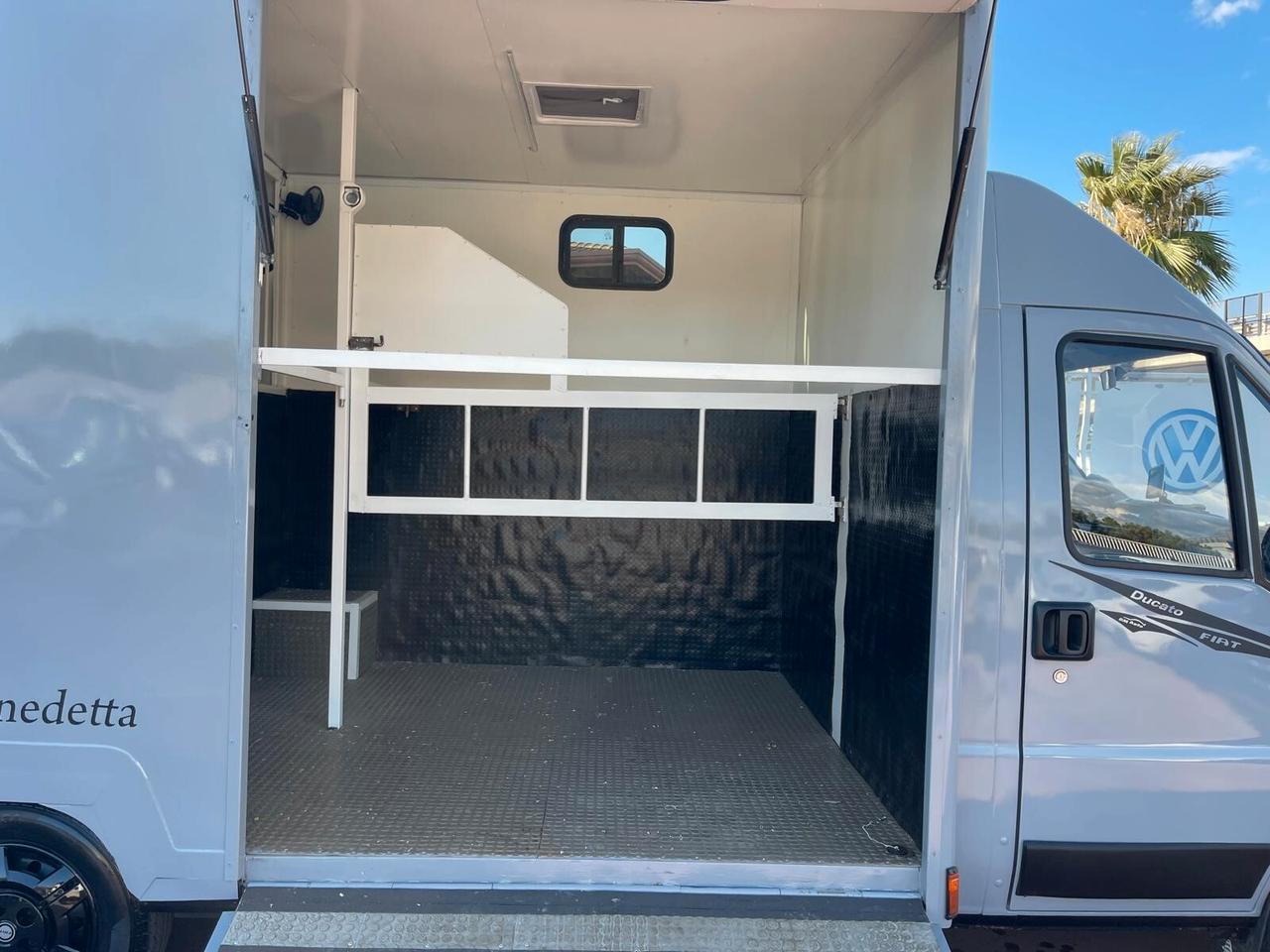 FIAT DUCATO TRASPORTO CAVALLI