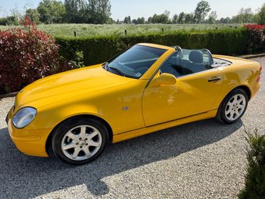 Mercedes-benz SLK 200 cat