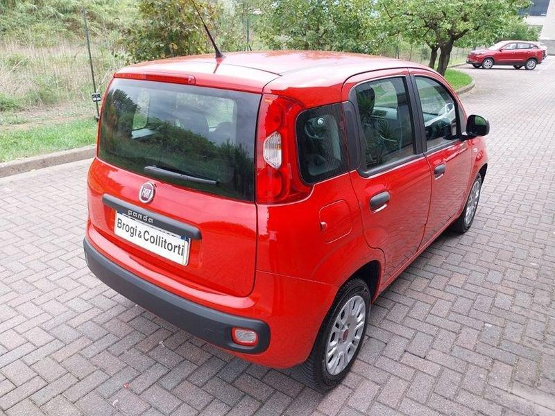 FIAT Panda III 2016 1.2 Easy s&s 69cv my19