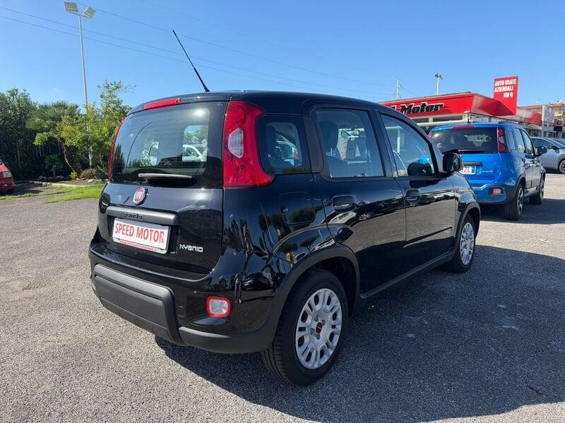FIAT Panda Panda 1.0 firefly hybrid 70cv, CARPLAY, PRONTA CONSEGNA!