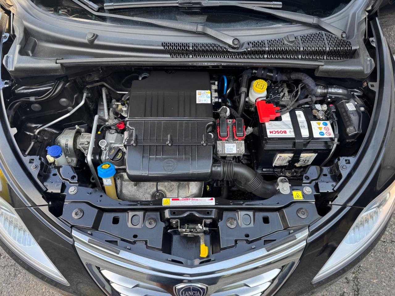 Lancia Ypsilon Neopatentati, cinghie nuove