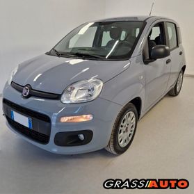 FIAT Panda 3ª serie Panda 1.2 Easy