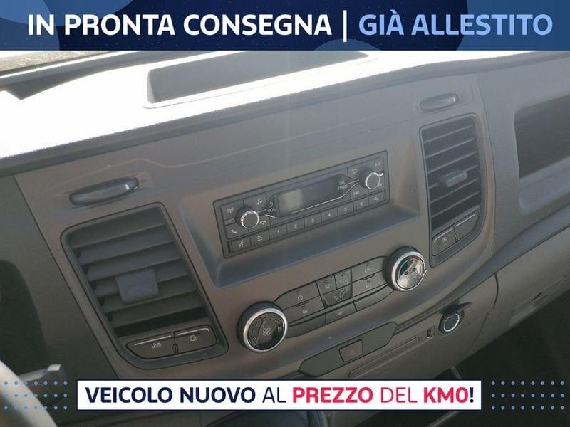 Ford Transit Transit Chassis 350 MY2024 CHASSIS CABINA SINGOLA L3 TREND RWD 130CV N1