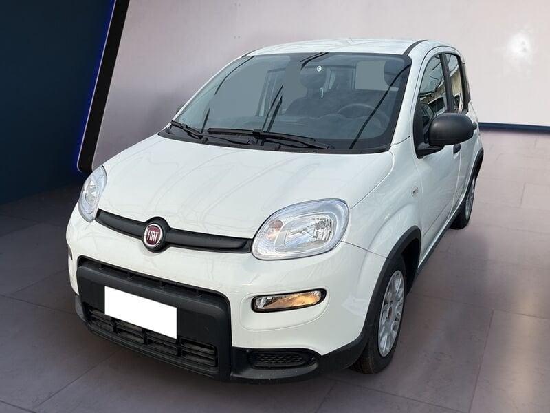 FIAT Panda My23 1.0 70cv Hybrid Panda
