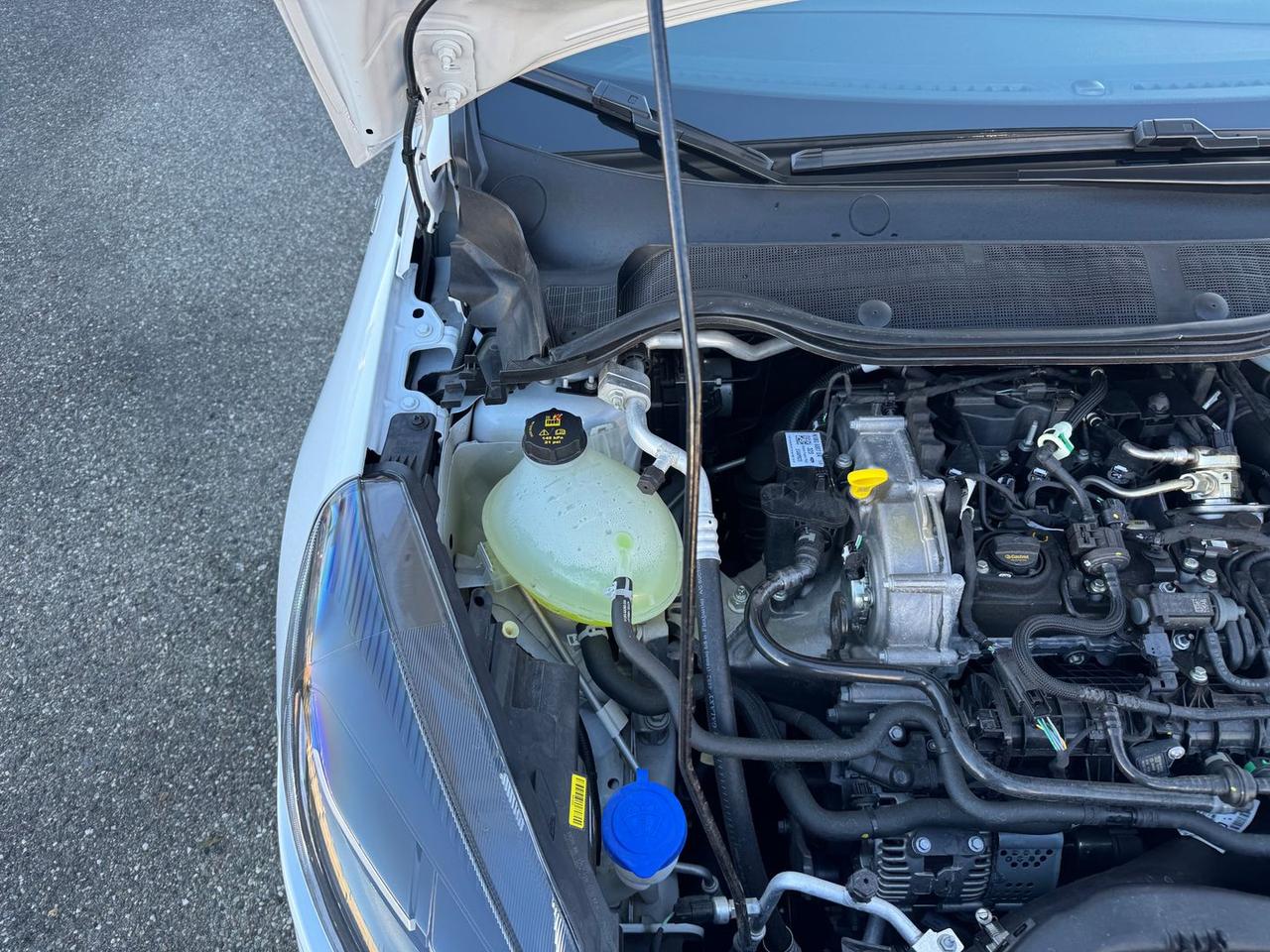 Ford Fiesta 1.0 EcoBoost mHEV 125cv ST Line #8295