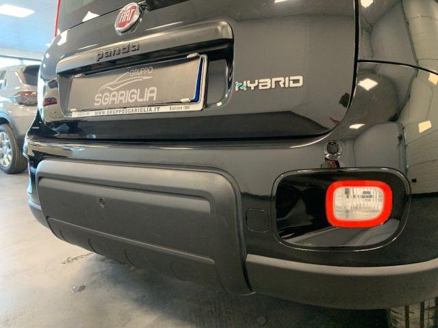 FIAT Panda 1.0 Benzina Hybrid City Life