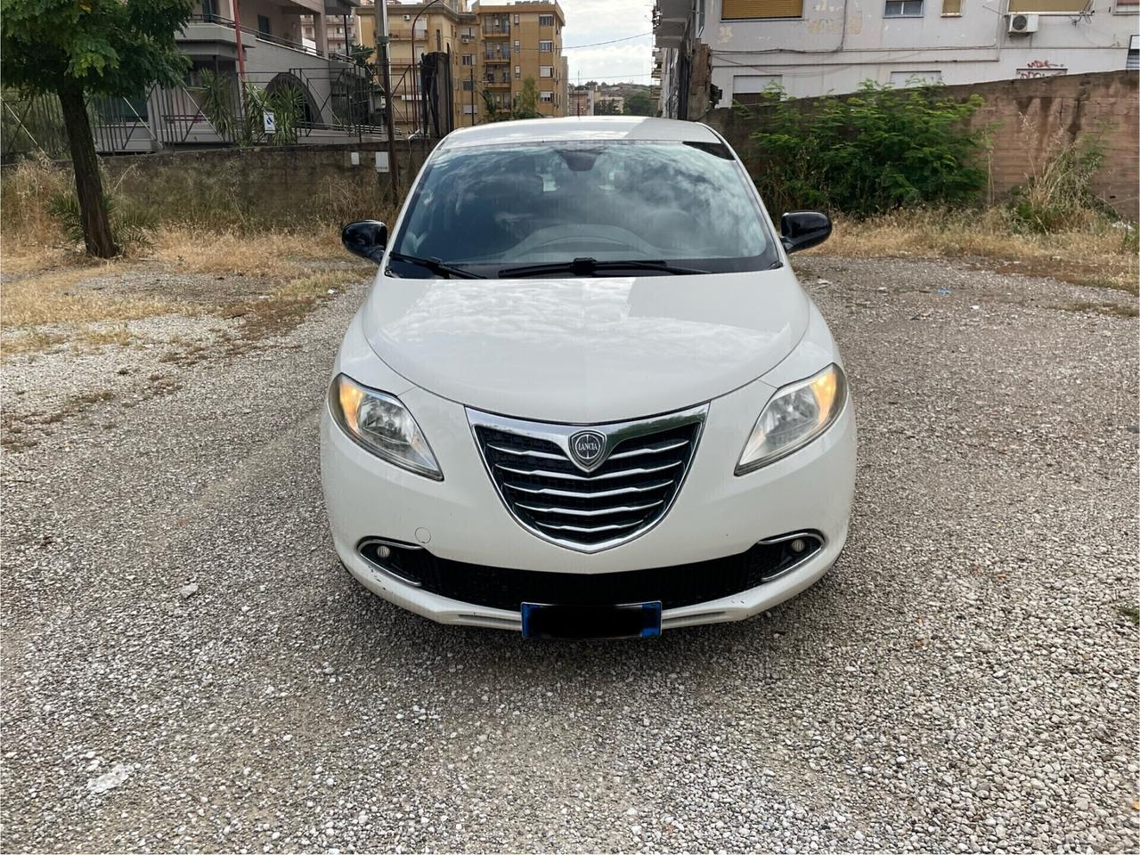 Lancia Ypsilon 1.3 MJT 16V 95 CV 5 porte S&S Platinum