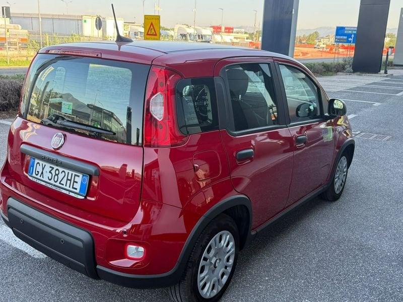 FIAT Panda NEW 1.0 70cv Hybrid PANDA