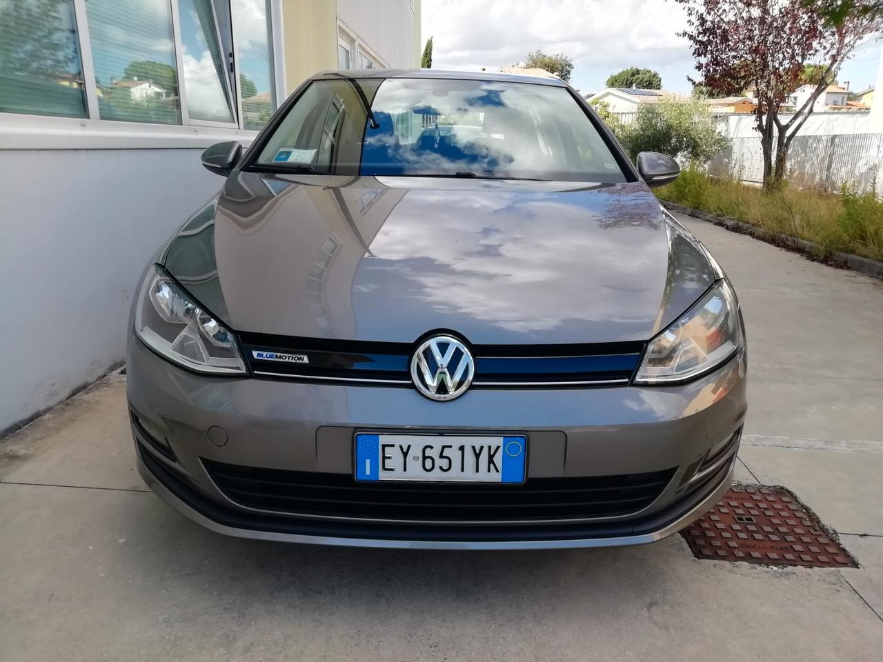 Volkswagen Golf 1.4 TGI 5p. Trendline BlueMotion