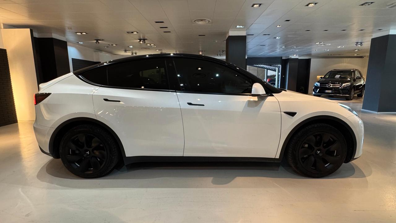 TESLA MODEL Y RWD 120CV - 2024