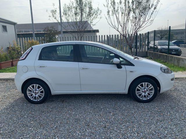 FIAT Punto 1.2 8V 5 porte Street