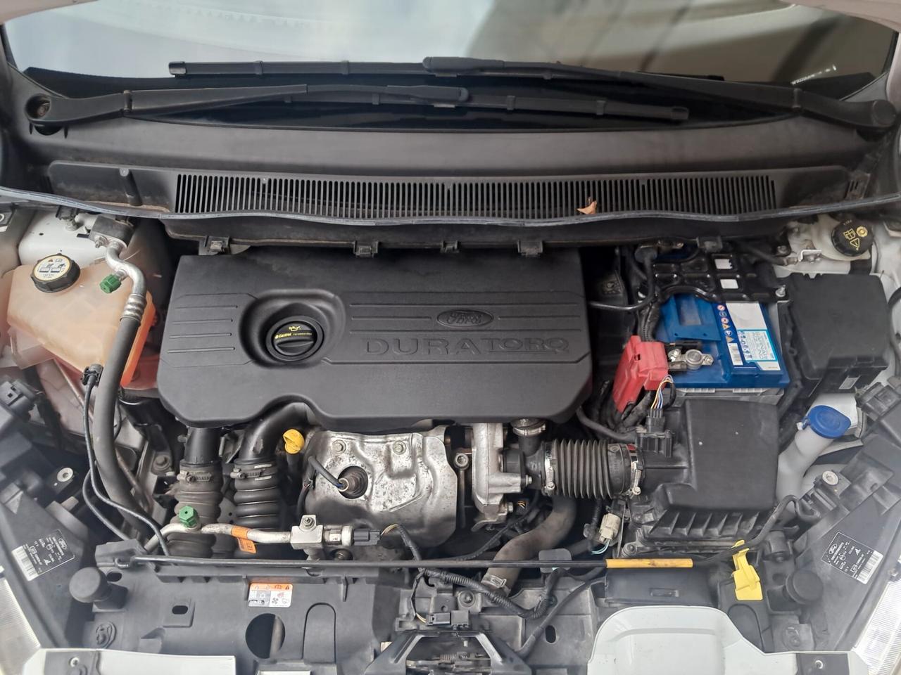 Ford B-Max 1.5 TDCi 75 CV Business-Km143000-Euro7250