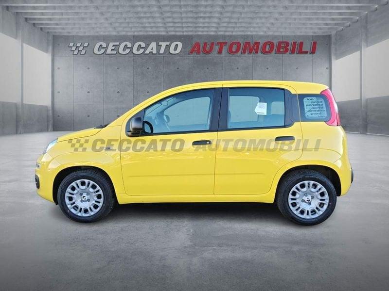 FIAT Pandina Pandina 1.0 65cv Hybrid Icon
