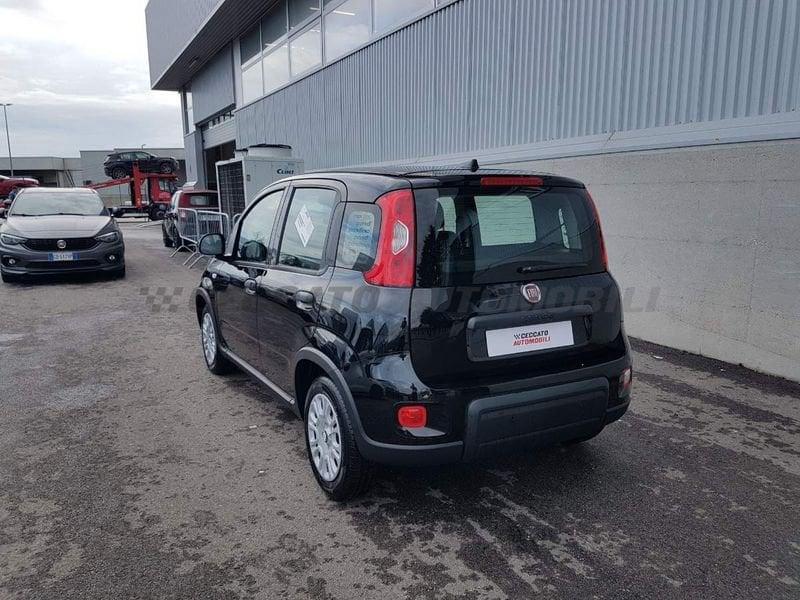 FIAT Panda 1.0 70cv Hybrid Panda