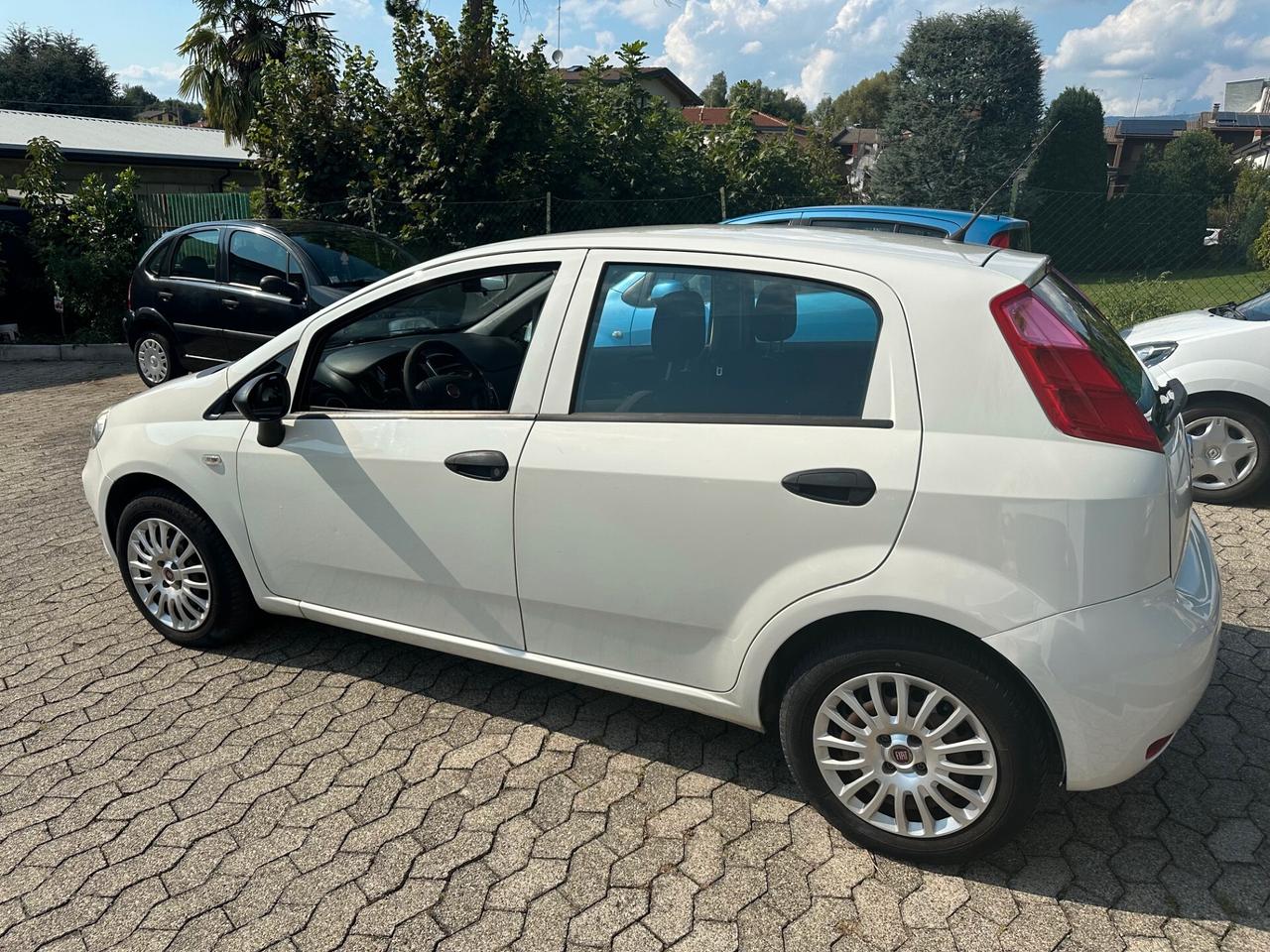 Fiat Punto 1.2 8V 5 porte Young*EURO6*NEOPATENTATI