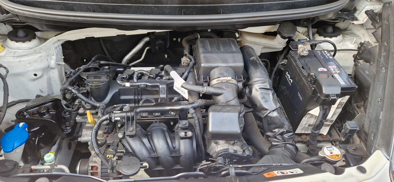 Kia Picanto 1.0 12V 5 porte Dream Team Edition 39.000 km tagliandata