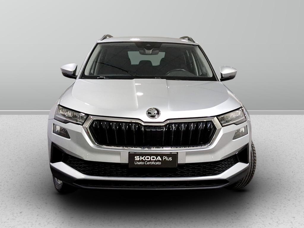 Skoda Karoq 2.0 tdi evo Executive 115cv dsg