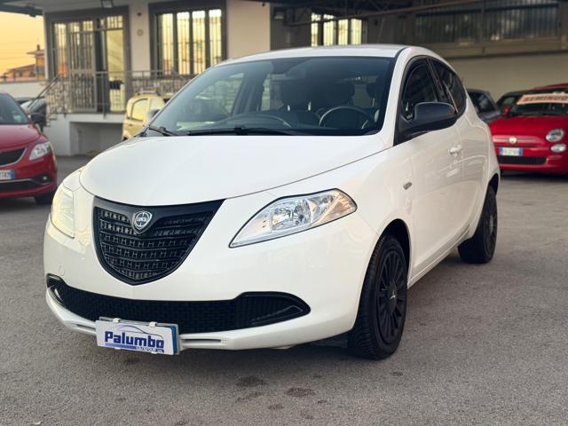 LANCIA Ypsilon 1.3 MJT 16V 95 CV 5 porte S&S Elefantino