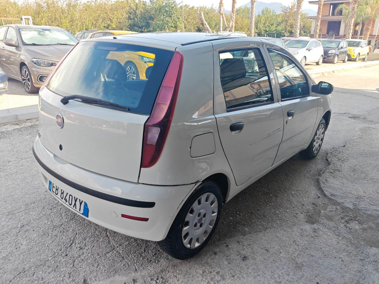 Fiat Punto 5 Porte Punto 5p 1.2 Classic Active
